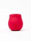 Clitoral Sex Toy